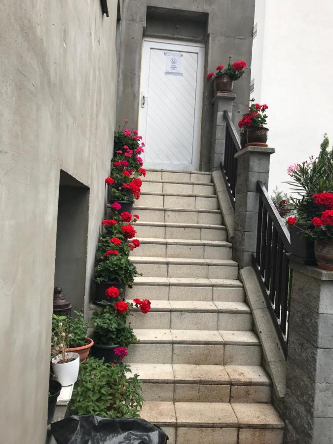 Penzion Vilo Bratislava Luaran gambar